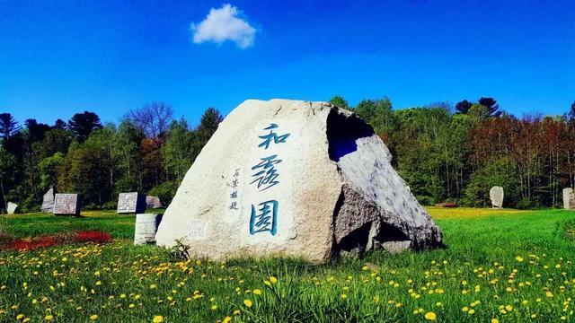 什么英雄克制耀- 你的全能问答平台