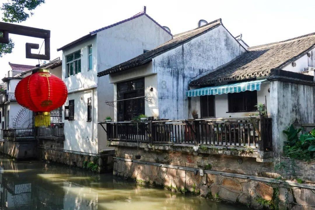 动物帮帮忙保卫家园